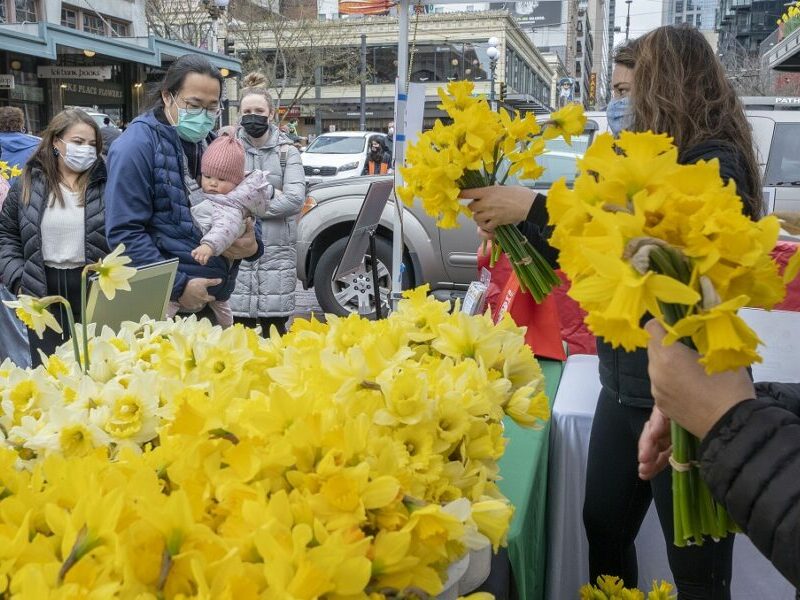 daffodil day pike place market