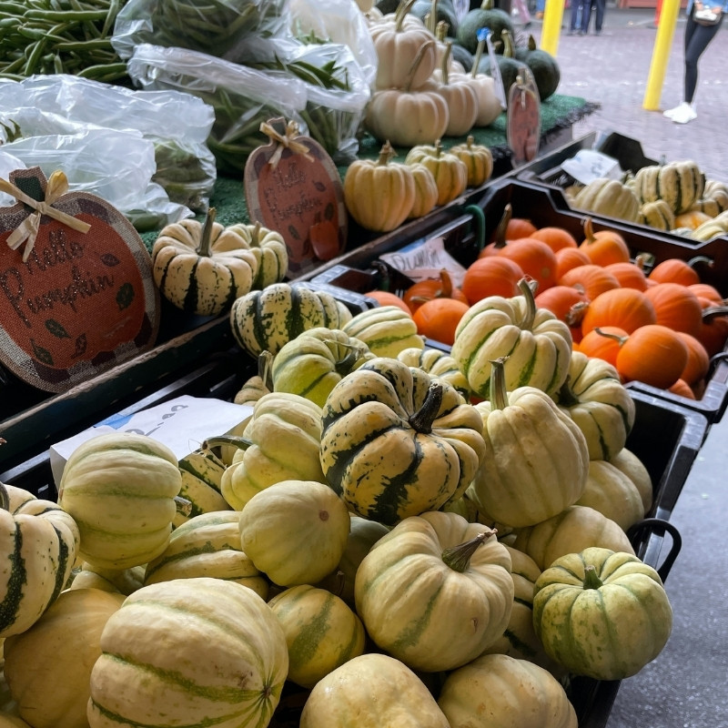 mini-pumpkins found at farmer Lee's Fresh Produce at Pike Place Market